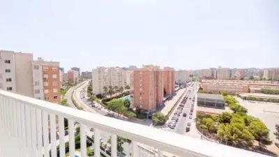 Pis – Alacant / Alicante, l'Alacantí - Vista 2