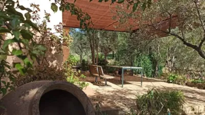 Rustic house in El Pedroso photo 2