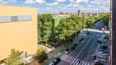 Apartment on Avenida de Reina Mercedes photo 4