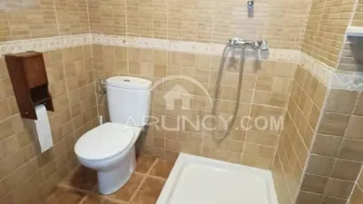 Chalet in Alcalá de Guadaíra photo 62