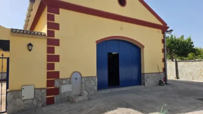 Rustic property in Arcos de la Frontera photo 5