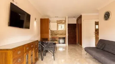 Apartment on Avenida Juan Carlos I photo 6