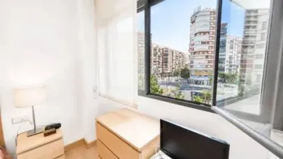 Apartment in San Miguel photo 18