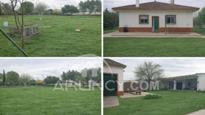 Chalet in Alcalá de Guadaíra photo 2