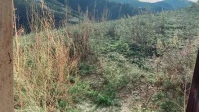 Rustic house in Canillas de Aceituno photo 26