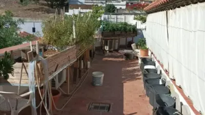 Chalet in Alcalá de Guadaíra photo 7