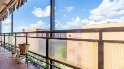 Apartment on Avenida de Reina Mercedes photo 3