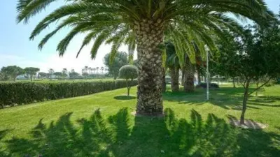 House in Costa Ballena photo 38