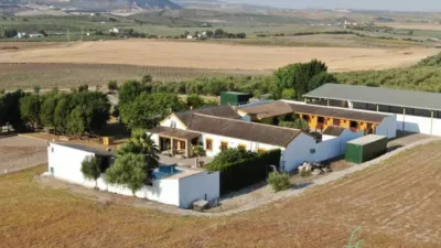 Rustic house in Morón de la Frontera photo 2
