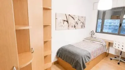 Apartment in San Miguel photo 25