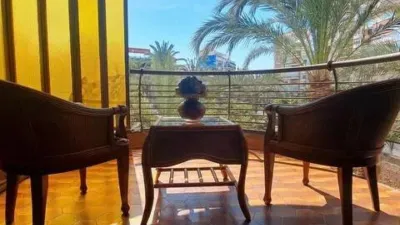 Apartment in Plaza de los Luceros photo 3