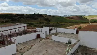 Rustic house in Espera photo 5