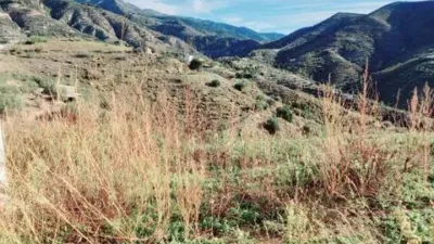 Rustic house in Canillas de Aceituno photo 28