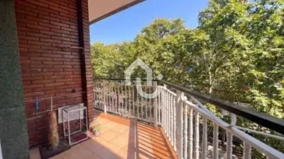 Apartment in Centre-Can Mariner photo 18