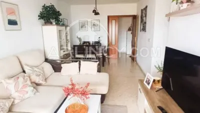 Apartment in Alcalá de Guadaíra photo 23