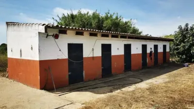 Rustic house in Cartaya photo 18