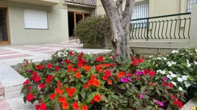 Apartment on Carrer de la Punta dels Escuts photo 19