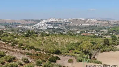 Rustic property in Arcos de la Frontera photo 9
