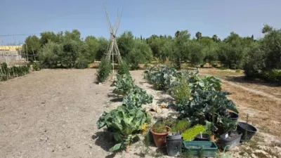 Rustic property in Arcos de la Frontera photo 27