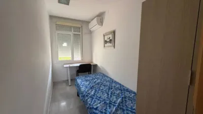 Apartment in Seville City Centre photo 19
