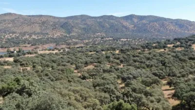 Rustic property in Cazalla de La Sierra photo 12