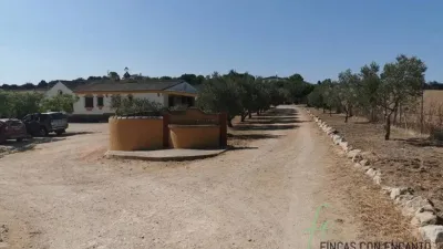 Rustic property in Arcos de la Frontera photo 28