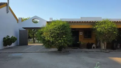 Rustic house in Morón de la Frontera photo 22