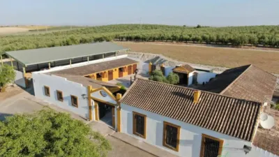 Rustic house in Morón de la Frontera photo 3
