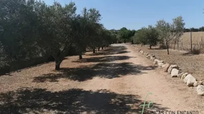 Rustic property in Arcos de la Frontera photo 27