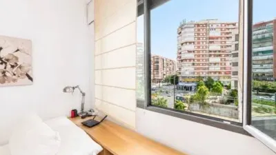 Apartment in San Miguel photo 22
