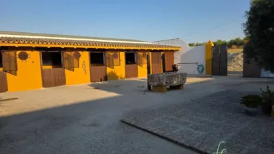 Rustic house in Morón de la Frontera photo 19