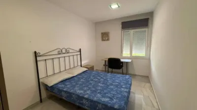 Apartment in Seville City Centre photo 10
