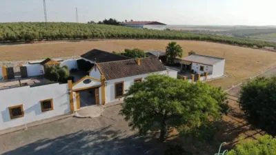 Rustic house in Morón de la Frontera photo 20