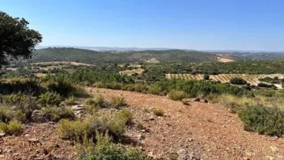 Rustic house in Balazote photo 22