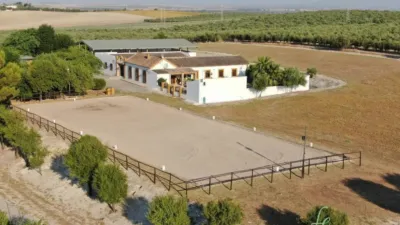 Rustic house in Morón de la Frontera photo 24