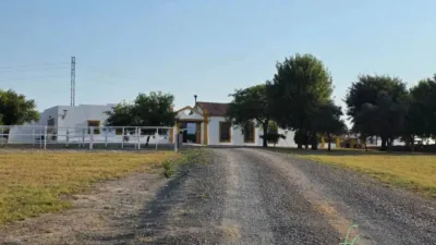 Rustic house in Morón de la Frontera photo 18