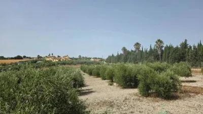 Rustic property in Arcos de la Frontera photo 29