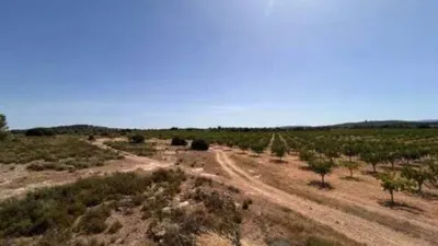 Rustic house in Pozohondo photo 10