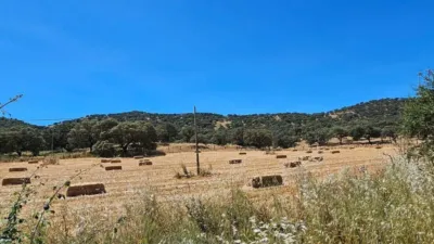 Rustic property in Cazalla de La Sierra photo 10