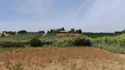 Rustic house in Cartaya photo 19