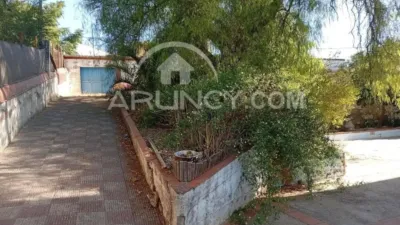 Rustic house in Alcalá de Guadaíra photo 60
