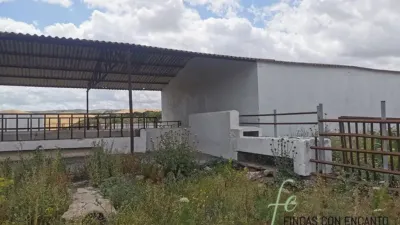 Rustic house in Espera photo 11