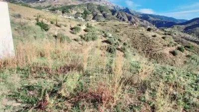 Rustic house in Canillas de Aceituno photo 15