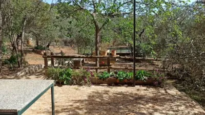 Rustic house in El Pedroso photo 3