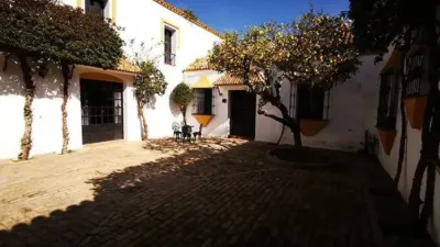 Rustic house in Alcalá de Guadaíra photo 5