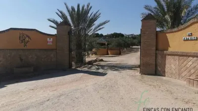Rustic property in Arcos de la Frontera photo 24