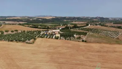 Rustic property in Arcos de la Frontera photo 25