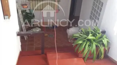 Chalet in Alcalá de Guadaíra photo 60