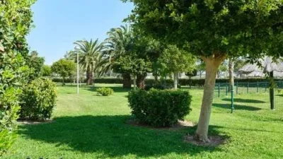 House in Costa Ballena photo 32