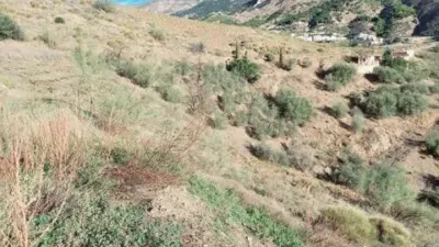 Rustic house in Canillas de Aceituno photo 24